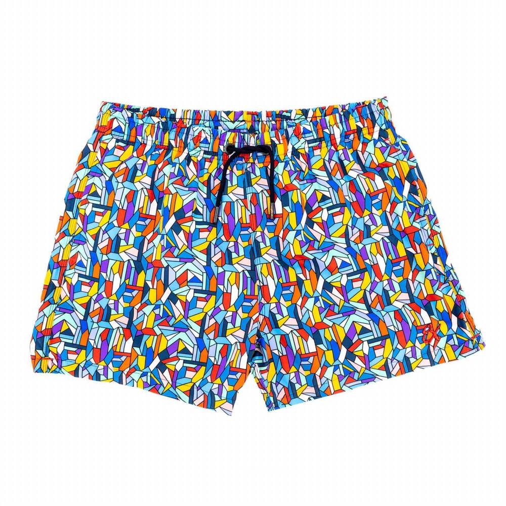 NEW EIGHT X men's holy mosaic swim trunks in multi